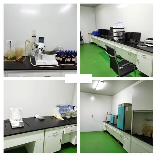 Extrait naturel de plante de poudre d'orange de séchage par pulvérisation